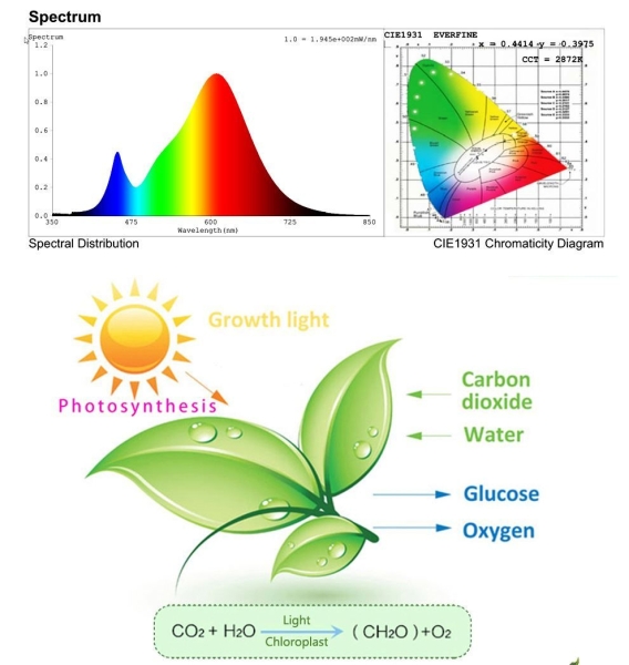 50W Pflanzenlampe Led Pflanzenwachstumsl Grow Light Lamp Pfl